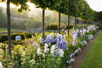 The elegant stems of the hornbeam allow for views down into the five garden compartments on the south side of the long water garden at Temple Guiting by Jinny Blom. (From The New English Garden by Tim Richardson)