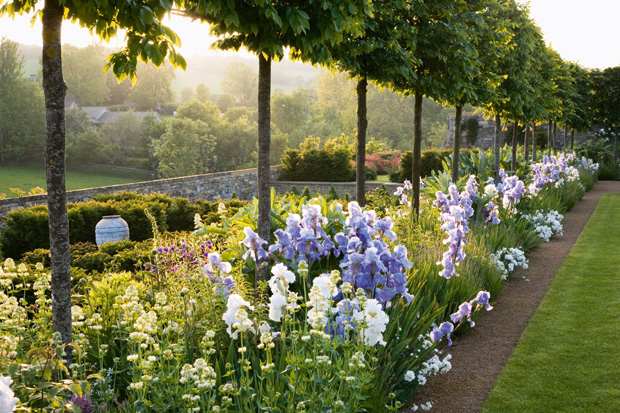 The elegant stems of the hornbeam allow for views down into the five garden compartments on the south side of the long water garden at Temple Guiting by Jinny Blom. (From The New English Garden by Tim Richardson)