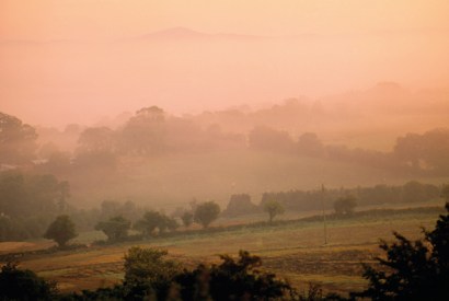 A place to sit and dream: Co. Wexford