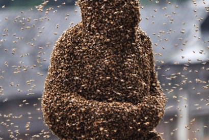Lu Kongjiang, taking part in a ‘bee beard’ competition in Shaoyang, Hunan Province, China, 2011 From In Praise of Bees: A Cabinet of Curiosities by Elizabeth Birchall (Quiller Publishing, £30, pp. 255, ISBN 9781846891922)