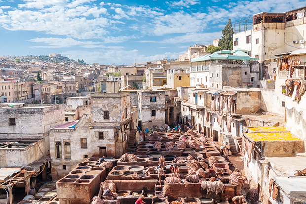 A sniff of the ancient world: Fez’s tanneries
