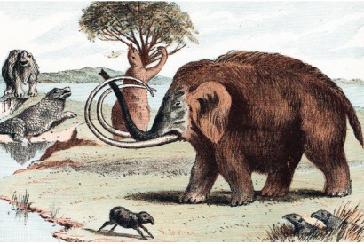 The unentertaining fact is that resurrecting animals that died out 65 million years ago is likely to remain far beyond the bounds of possibility for a very long time to come