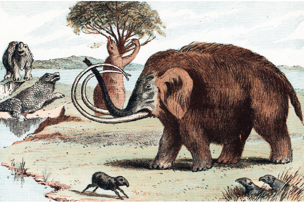 The unentertaining fact is that resurrecting animals that died out 65 million years ago is likely to remain far beyond the bounds of possibility for a very long time to come