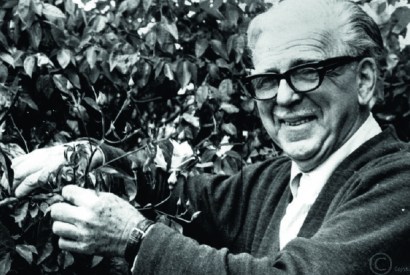 William Dobell at Wangi Wangi - now Dobell House