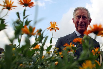 (Photo: Getty)