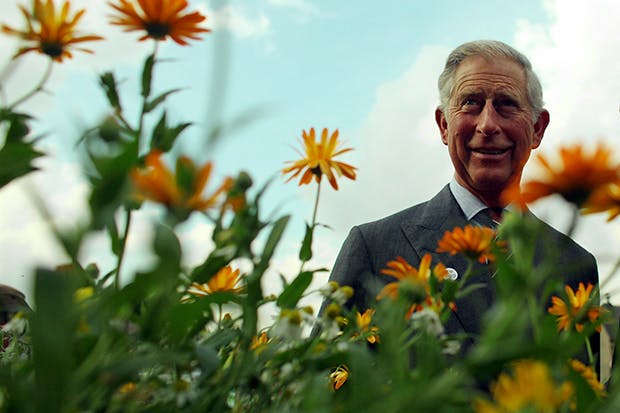 (Photo: Getty)