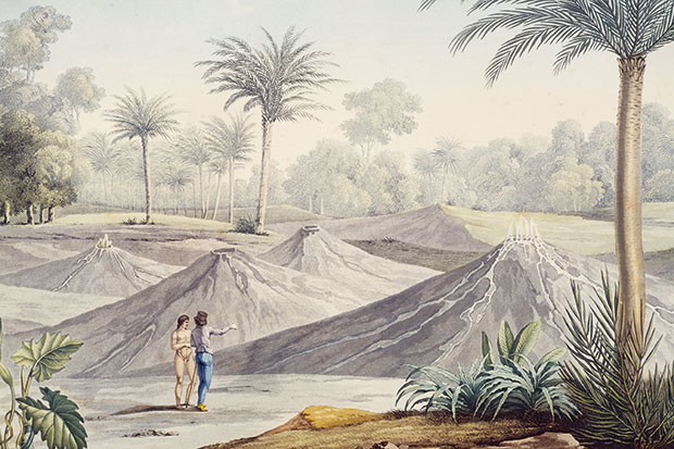 Humboldt talks to one of the indigenous people in Turbaco (today’s Columbia) en route to Bogotá.