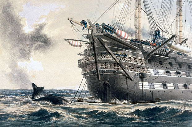 HMS Agamemnon lays the first Atlantic telegraph cable between Trinity Bay and Valentia Island