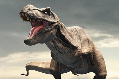 T. rex hunted live prey but wouldn’t pass up a free meal if it sniffed one out