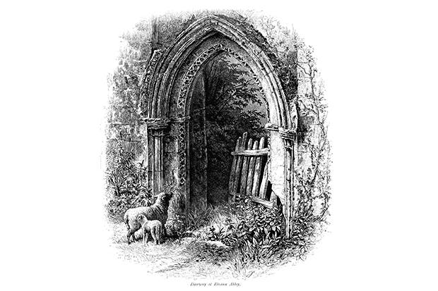 Rievaulx: only swifts and pigeons break the silence