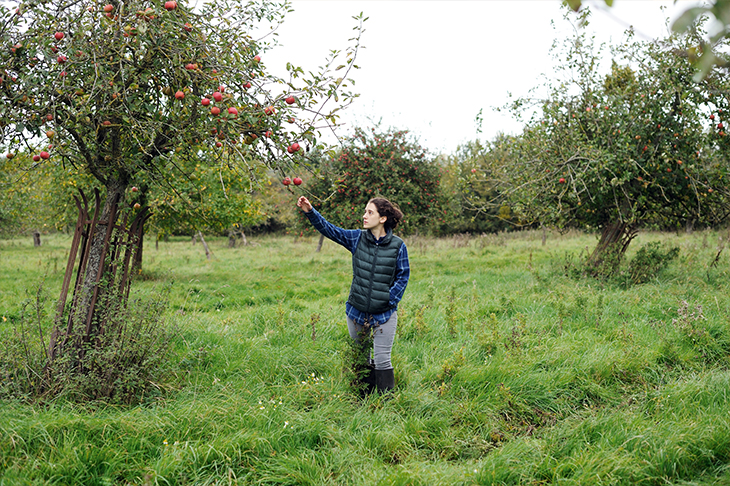 The prodigal daughter: Ellie Kendrick as Clover in The Levelling