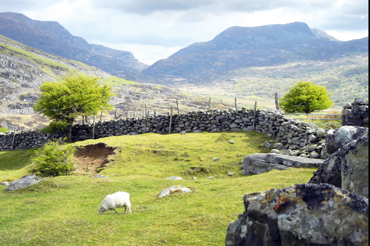 Drystone walling in the Brecon Beacons, Wales