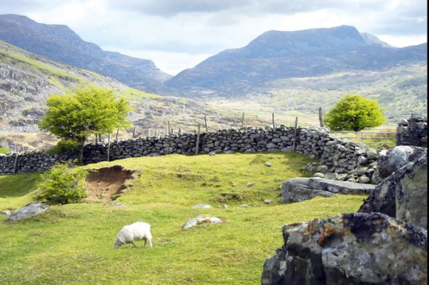 Drystone walling in the Brecon Beacons, Wales