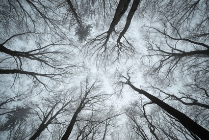 Getty Images