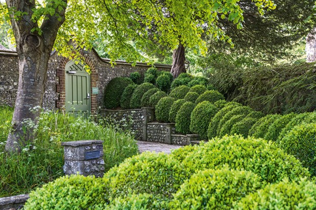 A river of green topiary cascades down the terrace steps at West Dean. Cotoneaster horizontalis covers the wall on the right
