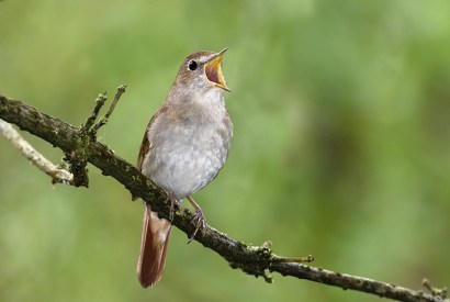 Credit: Alamy Stock