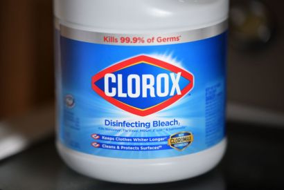 disinfectant